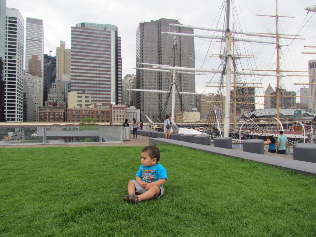 On Professional Ambition